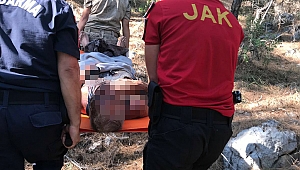 Alzaymır hastasını  ‘GECE’  kurtardı