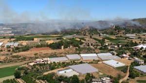 Antalya'da orman yangını