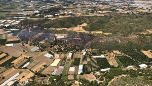 Antalya'da orman yangını kontrol altına alındı