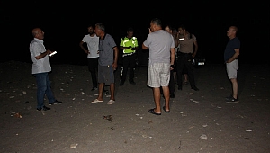 Caretta üreme  alanına daldılar