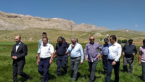 Çavuşoğlu'nun yayla serüveni 