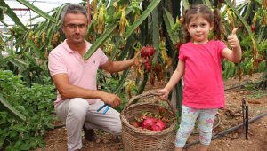 Denemek için ekti vazgeçemiyor