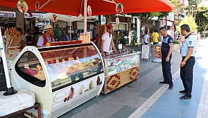 Dondurma fiyatlarına denetim