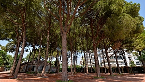 Engelsiz Kafe’de sona doğru