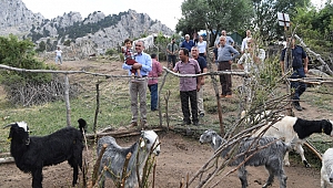Esen'den destek sözü 