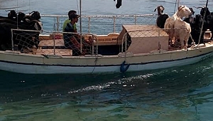 Kurbanlıkların  tekne keyfi