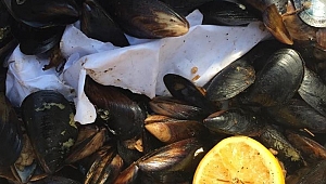 Olympos’ta seyyar satıcı denetimi 