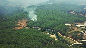 Orman yangını söndürüldü 