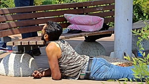 Parkta ölüm uykusu 