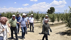 Siirtli öğrenciler Elmalı'da 