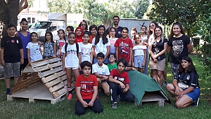 Sokak hayvanları  için yuva yaptılar