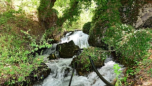 Toroslarda bir doğa harikası 