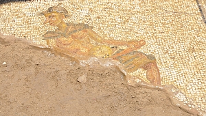 Tuvalet yazılarının atası bulundu