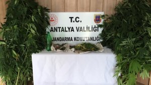 Alanya'da uyuşturucu operasyonu