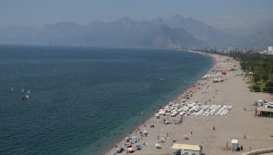 Antalya Körfezi'ne ulaşan denizanaları besin eksikliğinden ölüyor, tehlike yok oluyor