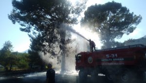 Antalya'da antik kentte yangın çıktı