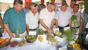 Antalya'da ilk Tropikal Meyve Hasat Şenliği