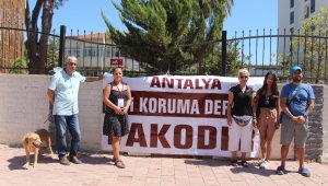 Antalya'da hayvanseverlerden mezarlık talebi