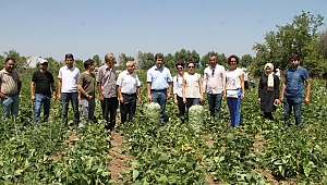 Antalyalı çiftçiler  Gevaş’ı ziyaret etti