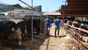 Büyükşehir, kurban satış noktalarını denetledi