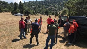 Çiftçileri bıktıran yaban domuzları için mücadele maksatlı sürek avı