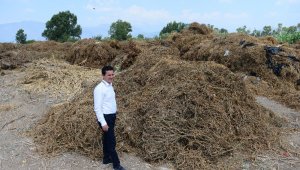 Köleoğlu: "İlçe halkımızın zehir solumasını önledik"