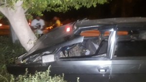 Köpeğe çarpmamak için refüjdeki ağaca çarptı