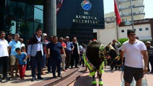 Kumluca'da şampiyon boğalar görücüye çıktı