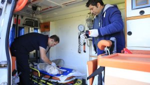 Sokak hayvanları bayramda da yalnız bırakılmayacak