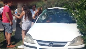 Virajı alamayan sürücü palmiye ağacına çarpıp araç içinde sıkıştı