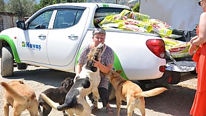 Yerleşik Ruslardan  hayvanlara ‘mama’