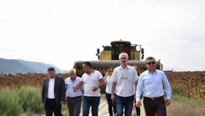 Antalya'da Ayçiçeği Tarla Günü yapıldı