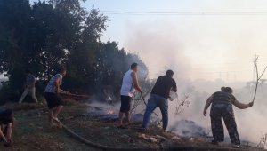 Antalya'da makilik alanda yangın