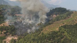 Antalya'da ormanlık alanda yangın