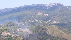 Antalya'daki orman yangını kontrol altına alındı