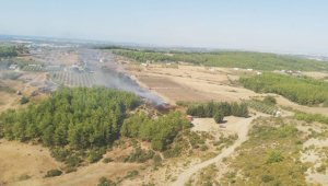 Arap Beleni'nde çıkan yangın, ormana ulaşmadan söndürüldü