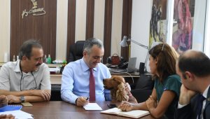 Başkan Esen, "Bu yıl 345 hayvanı kısırlaştırdık"