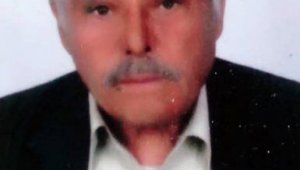 Ceviz toplamak isteyen yaşlı adam ağaçtan düşerek hayatını kaybetti