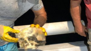 Denizin 2 mil açığında insan kafatası bulundu
