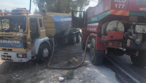 Kaş'ta arazi yangını, çam ağaçları yandı