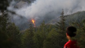 Kaş'taki orman yangınında hızlı müdahale büyümeyi önledi