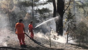 Kemer'deki orman yangını kontrol altına alındı