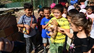 Öğrenciler sahiplendiği sokak köpeğine okul bahçesinde bakacaklar