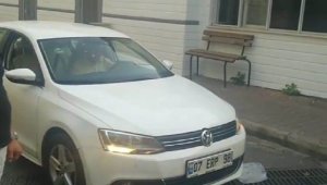 Yol ortasında su içen kediye, sürücüden örnek davranış