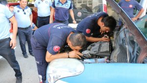 Zabıta aracındaki yavru kedi için itfaiye seferber oldu