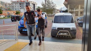 Alanya'da 'skunk' operasyonu: 1 gözaltı