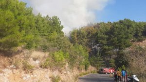 Alanya'da orman yangını