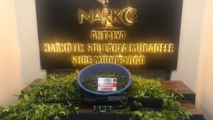 Antalya'da uyuşturucu operasyonuna 1 tutuklama