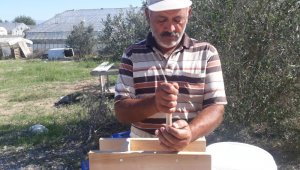Çam ağacından imal etti, zeytin üreticisinin umudu oldu