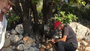 Kaş'ta AKSAN'dan' biyolojik çeşitliliğin korunması' araştırması